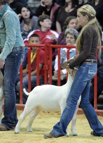 San Antonio Stock Show & Rodeo - FEBRUARY